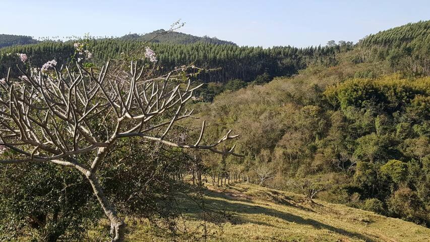 Sitio Alvorada - Paraiso Localizado No Circuito Das Aguas Paulista Amparo  Exterior photo